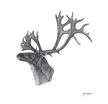 Load image into Gallery viewer, Caribou Print