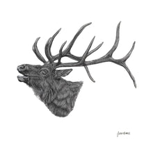 Load image into Gallery viewer, Elk Print