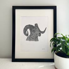 Load image into Gallery viewer, Dall Sheep Print